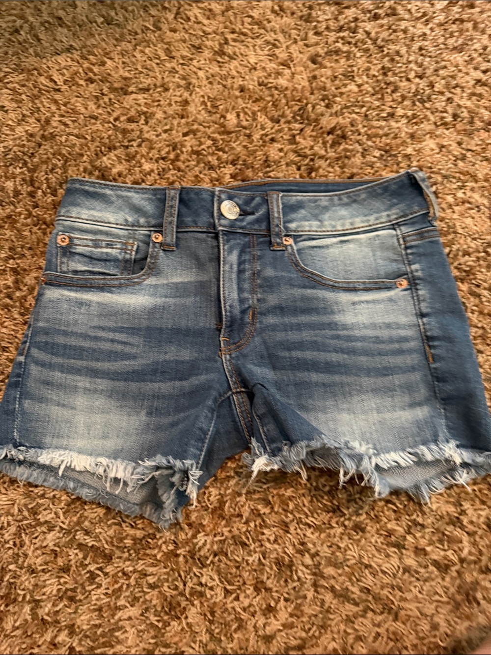 American Eagle Outfitters Distressed Light Blue Denim Cutoff Shorts